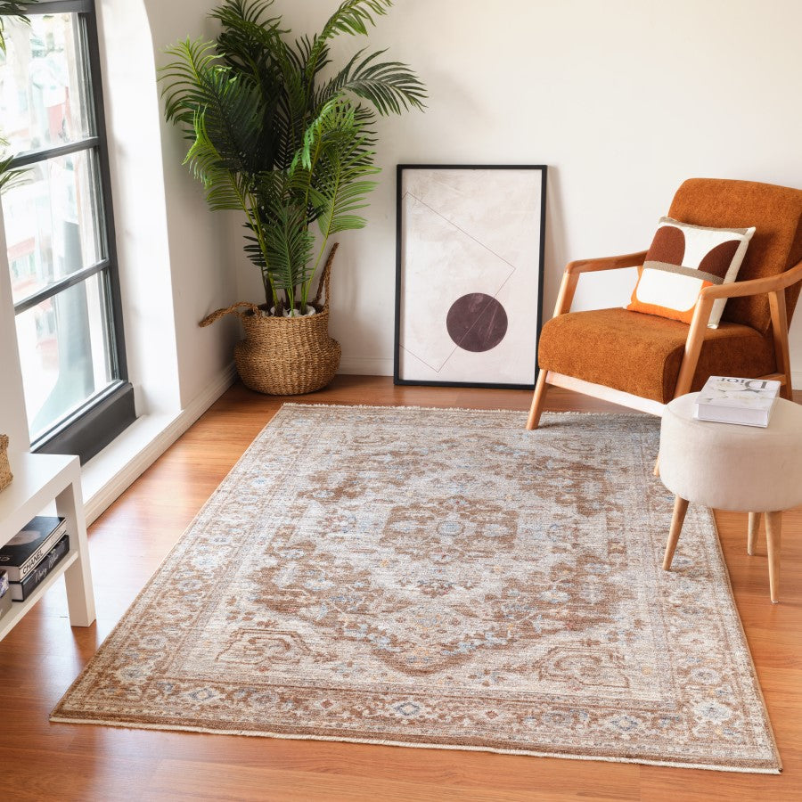 Living room with a patterned rug, brown armchair, and plant