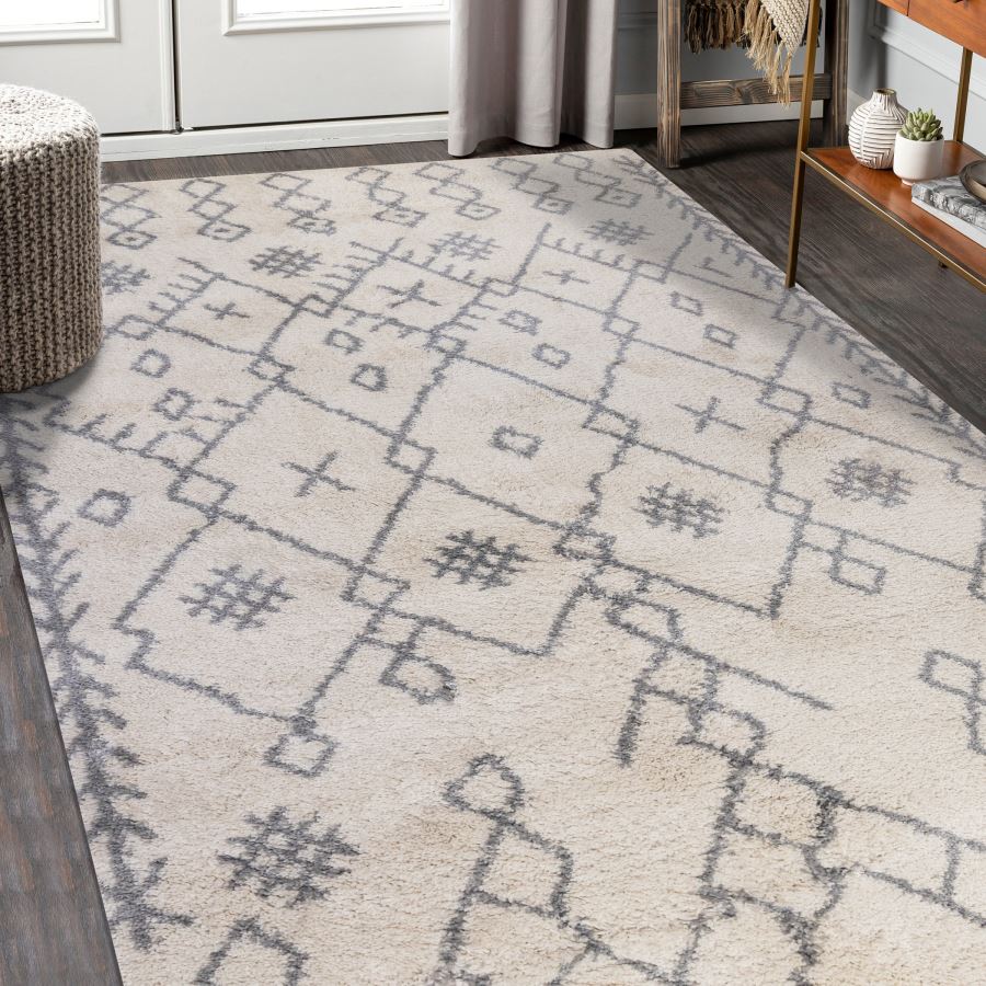 Patterned area rug on a wooden floor with a neutral color scheme