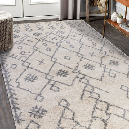 Patterned area rug on a wooden floor with a neutral color scheme