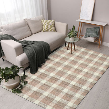 Living room with a checkered rug, sofa, and decorative items.