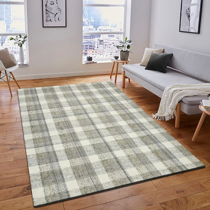 Living room with a checkered rug, sofa, and decor