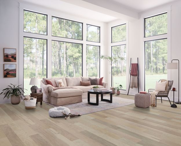 Dogwood Pro Collection