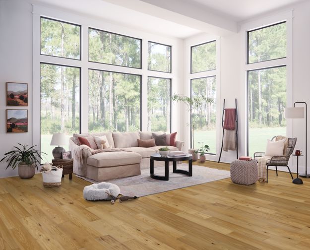 Modern living room with large windows, beige sofa, and wooden floor.