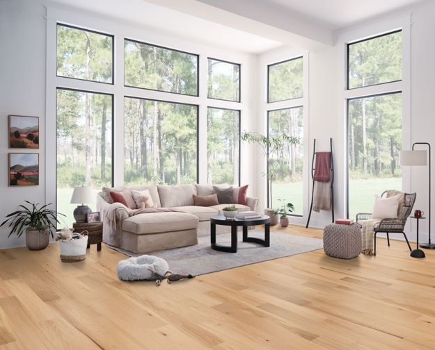 Modern living room with large windows, beige sectional sofa, and wooden flooring.