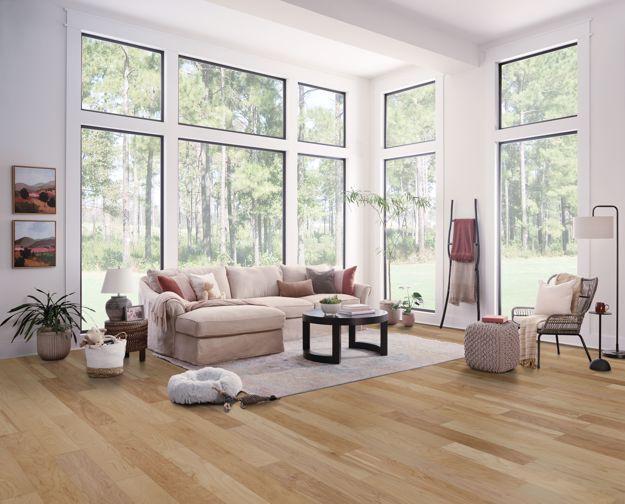 Modern living room with large windows, beige sectional sofa, and wooden flooring.